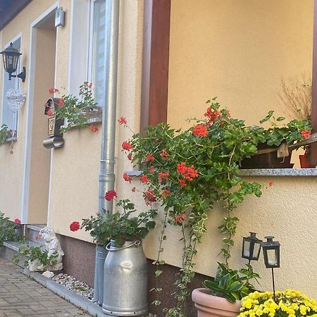 Ferienwohnung „Thea“ باد لاوزيك المظهر الخارجي الصورة